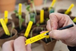 Nature - Kweekset Start - Complete Set Voor Zaaien En Stekken -Gardena Verkoopwinkel 1200x798 1