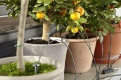 Gardena Verkoopwinkel -Gardena Verkoopwinkel 1200x799 28