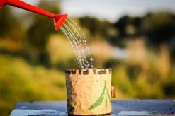 Biologische Kweekset Theekruiden Munt -Gardena Verkoopwinkel 1200x799 4