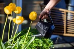 Xala - Gieter Doppio Groove 2L Zwart -Gardena Verkoopwinkel 1200x799 50