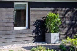 Capi Europe - Bloempot Vierkant Rib NL - 30x30x30 - Zwart - Voor Binnen En Buiten - KBLR902 -Gardena Verkoopwinkel 1200x799 57