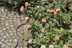 GARDENA Kraanverbindingsstuk Binnenshuis -Gardena Verkoopwinkel 1200x800 125