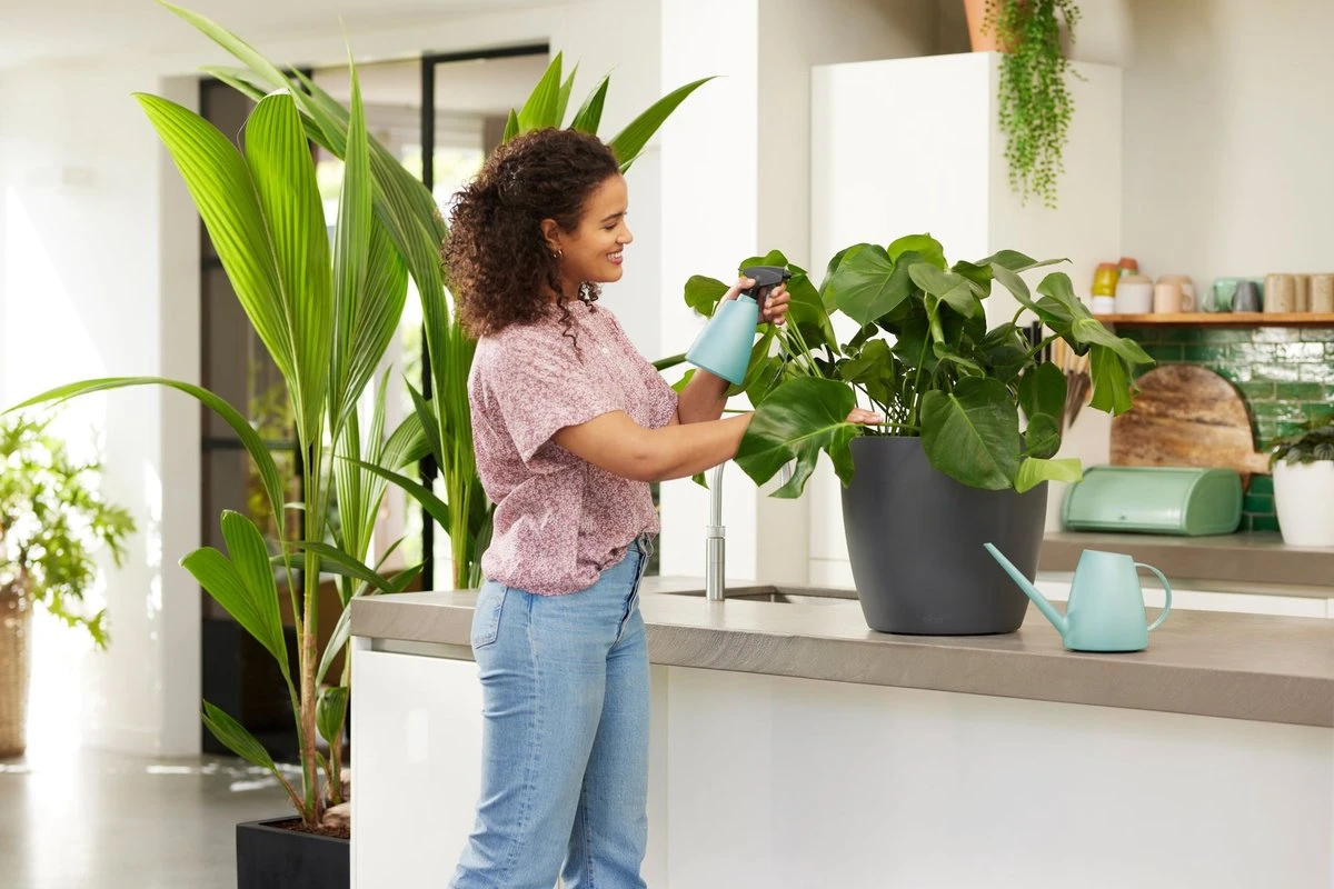 Elho Brussels Gieter 1,8l - Gieter Voor Binnenkweken En Oogsten - Ø 33.0 X H 17.0 Cm - Groen/Mint 6 Elho Brussels Gieter 1,8l - Gieter Voor Binnenkweken En Oogsten - Ø 33.0 X H 17.0 Cm - Groen/Mint - Afbeelding 4