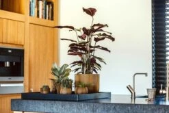 Capi Europe - Bloempot Bol Groove - 23x21 - Goud - Bloempot Voor Binnen - BGVGB134 -Gardena Verkoopwinkel 1200x800 173