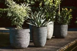 Capi Europe - Bloempot Bol Rib NL - 35x34 - Antraciet - Voor Binnen En Buiten - KOFZ932 -Gardena Verkoopwinkel 1200x800 174