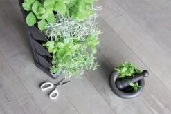 Prosperplast Verticale Kruidentuin Kunststof - Staand/hangend - Modulair - Antraciet Grijs - L 20 X B 11 X H 48 Cm - Incl. Kruidenschaar -Gardena Verkoopwinkel 1200x800 178