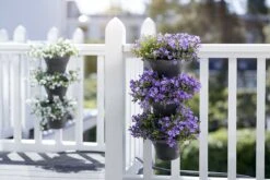 Elho Corsica Vertical Forest 24 - Bloempot Voor Balkonbuiten - Ø 26.7 X H 29.7 Cm - Zwart/Antraciet -Gardena Verkoopwinkel 1200x800 184