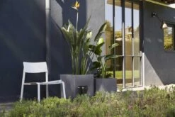 Capi Europe - Bloempot Vierkant Smooth NL - 50x50x50 - Zwart - Voor Binnen En Buiten - KBL904 29 Capi Europe - Bloempot Vierkant Smooth NL - 50x50x50 - Zwart - Voor Binnen En Buiten - KBL904 -Gardena Verkoopwinkel 1200x800 200