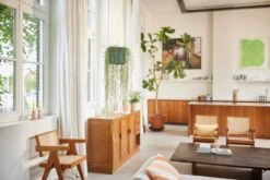 Elho B.for Swing 18 Hangpot - Bloempot Voor Binnen - Ø 18.0 X H 16.5 Cm - Groen/Blad Groen -Gardena Verkoopwinkel 1200x800 204