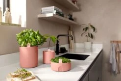 Elho Amazing Avocado Pot 12 - Kweekpot Voor Binnen - Moestuinbak Van 100% Gerecycled Plastic - Ø 12.0 X H 12.1 Cm - Bruin/Toffee Terra 15 Elho Amazing Avocado Pot 12 - Kweekpot Voor Binnen - Moestuinbak Van 100% Gerecycled Plastic - Ø 12.0 X H 12.1 Cm - Bruin/Toffee Terra -Gardena Verkoopwinkel 1200x800 22