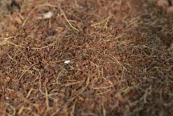 Cellmax Kokos Potgrond - Cocopeat - Stekgrond - Duurzaam - 50 Liter -Gardena Verkoopwinkel 1200x800