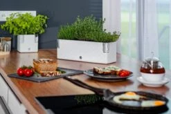 Cobble Trio - Design Kruidenpot Met Bewateringssysteem - Kristalwit - Kruidenbak - Kweekbak - Plantenbak 10 Cobble Trio - Design Kruidenpot Met Bewateringssysteem - Kristalwit - Kruidenbak - Kweekbak - Plantenbak -Gardena Verkoopwinkel 1200x800 27