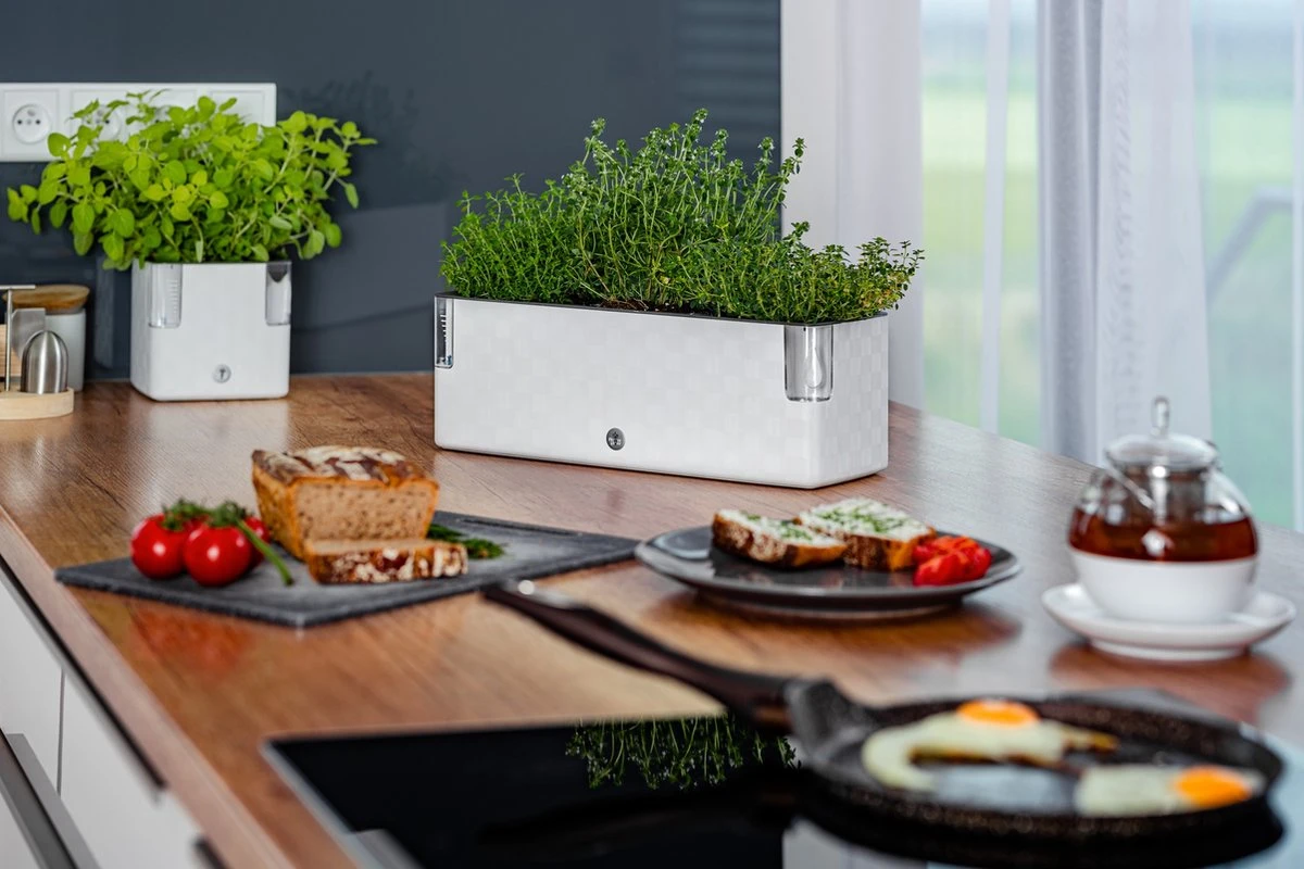 Cobble Trio - Design Kruidenpot Met Bewateringssysteem - Kristalwit - Kruidenbak - Kweekbak - Plantenbak 5 Cobble Trio - Design Kruidenpot Met Bewateringssysteem - Kristalwit - Kruidenbak - Kweekbak - Plantenbak - Afbeelding 3