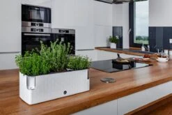 Cobble Trio - Design Kruidenpot Met Bewateringssysteem - Kristalwit - Kruidenbak - Kweekbak - Plantenbak 13 Cobble Trio - Design Kruidenpot Met Bewateringssysteem - Kristalwit - Kruidenbak - Kweekbak - Plantenbak -Gardena Verkoopwinkel 1200x800 28