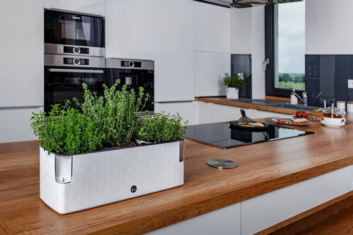 Cobble Trio - Design Kruidenpot Met Bewateringssysteem - Kristalwit - Kruidenbak - Kweekbak - Plantenbak 8 Cobble Trio - Design Kruidenpot Met Bewateringssysteem - Kristalwit - Kruidenbak - Kweekbak - Plantenbak - Afbeelding 6