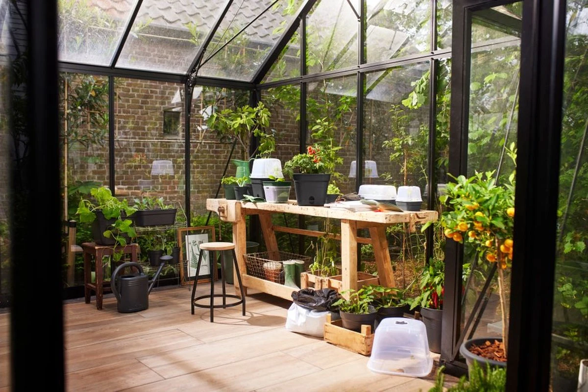 Elho Green Basics Kweektray Allin1 39 - Plantenbak Voor Kweken En Oogsten - Ø 39.0 X H 15.2 Cm - Zwart/Living Black 9 Elho Green Basics Kweektray Allin1 39 - Plantenbak Voor Kweken En Oogsten - Ø 39.0 X H 15.2 Cm - Zwart/Living Black - Afbeelding 7