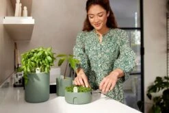 Elho Amazing Avocado Pot 12 - Kweekpot Voor Binnen - Moestuinbak Van 100% Gerecycled Plastic - Ø 12.0 X H 12.1 Cm - Groen/Blad Groen -Gardena Verkoopwinkel 1200x800 35