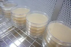 Gardena Verkoopwinkel 42 Gardena Verkoopwinkel -Gardena Verkoopwinkel 1200x800 49