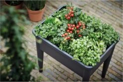 Elho Green Basics Kweektafel Super Xxl - Zwart/Living Black -Gardena Verkoopwinkel 1200x801 2