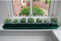 Merkloos Vensterbankkas 7-delig