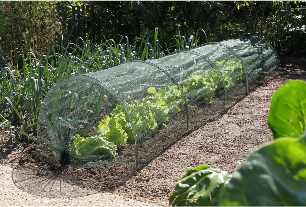 Nature - Tuintunnelset (2-in-1: Folie + Net) - 45 X 60 X 300cm 5 Nature - Tuintunnelset (2-in-1: Folie + Net) - 45 X 60 X 300cm - Afbeelding 3