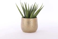 Mica Decorations Clemente Bloempot - H31 X Ø38 Cm - Terracotta - Goud -Gardena Verkoopwinkel 1200x813 5