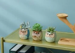 Luxe Bamboe Houten Boom Met 3 Keramiek Uil Bloempotten/Plantenpotten Op Standaard/Voet Voor Binnen En Buiten - Modern Design Bloempot/Plantenpot Op Poten/Pootjes-Plantenbak Mini Cactus Nep Plant Pot Houder - Kleine Bloembakken Plantenrek/Plantenkurk -Gardena Verkoopwinkel 1200x840 4