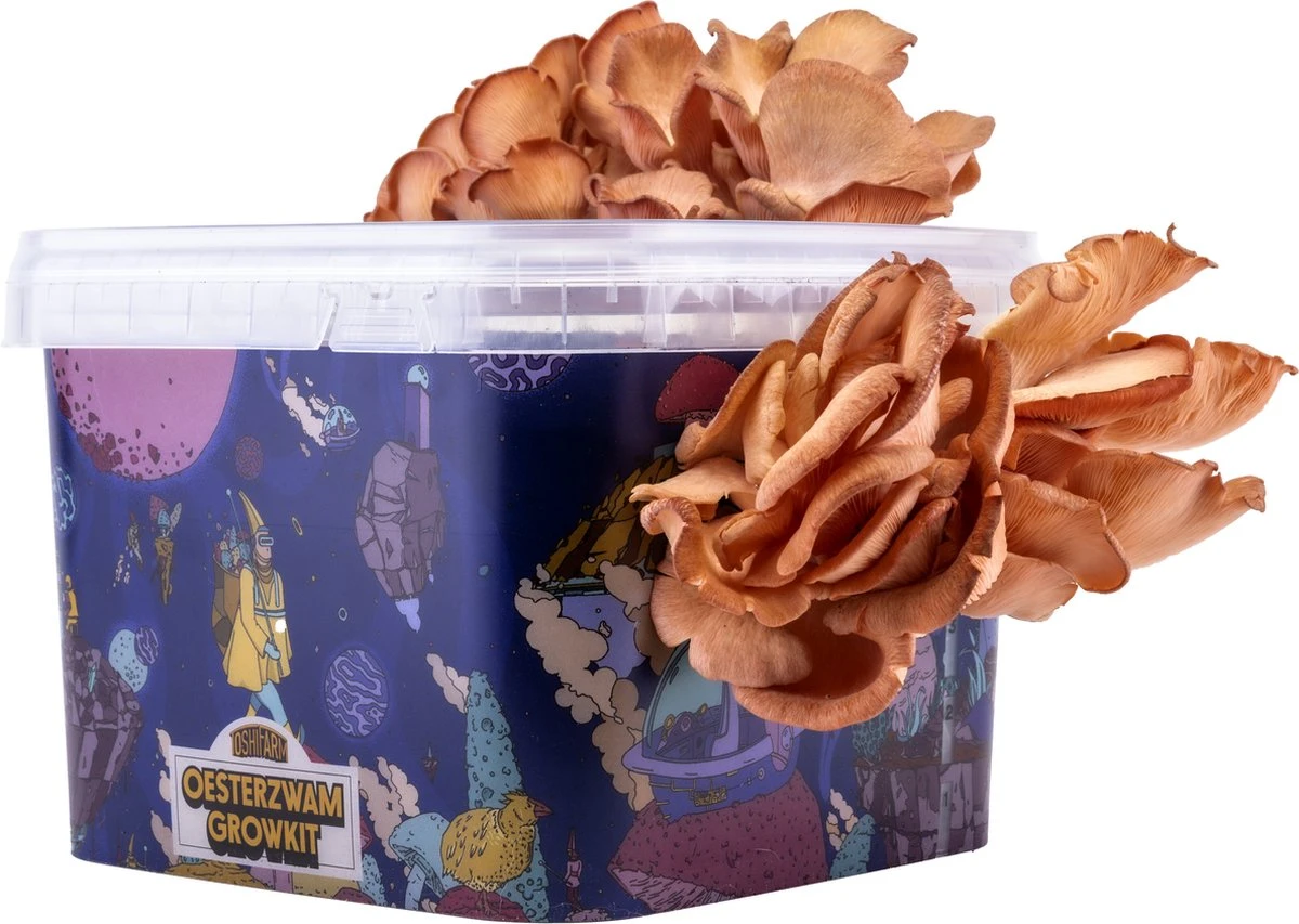 ToshiFarm Triple Kweekbundel - 3x Oesterzwam Growkit - 3x Oesterzwamsporen (Grijs, Geel En Roze) 12 ToshiFarm Triple Kweekbundel - 3x Oesterzwam Growkit - 3x Oesterzwamsporen (Grijs, Geel En Roze) - Afbeelding 10