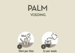 Pokon Palm Voeding - 250ml - Plantenvoeding - 10ml Per 1L Water -Gardena Verkoopwinkel 1200x856 1
