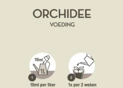 Pokon Orchidee Voeding - 250ml - Plantenvoeding - 10ml Per 1L Water -Gardena Verkoopwinkel 1200x856 3