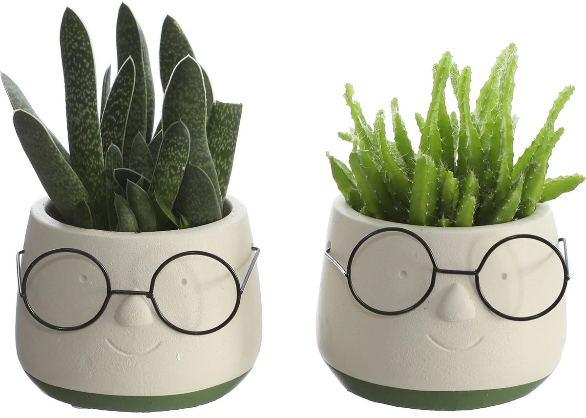 2x Bloempot Met Gezicht - Ø8 X H6,5 Cm - Bloempotten Voor Binnen Met Bril/Face/Hoofd 3 2x Bloempot Met Gezicht - Ø8 X H6,5 Cm - Bloempotten Voor Binnen Met Bril/Face/Hoofd