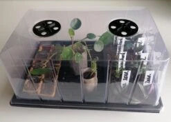 Kweekbak | Kweekkas | Kweekkas | Kweekkastje |Propagator| Broeikas | Mini Kas | Met Deksel | 20x24x37cm | Complete Kweekset | Binnen En Buiten | Startset