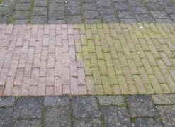 Groene Aanslag Verwijderaar | Biomos | Mos | Algen | HC Fix | 10L -Gardena Verkoopwinkel 1200x869 1