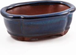 Happy Seed Keramieken Bonsai Pot (schaal) - Marine Blauw - Geglazuurd -Gardena Verkoopwinkel 1200x873