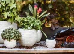 Capi Europe - Set Van 3 - Bloempot Binnen - Rib Ivoor -Gardena Verkoopwinkel 1200x878 1