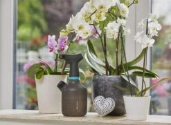 Gardena Plantenspuit 1 Liter -Gardena Verkoopwinkel 1200x879 8