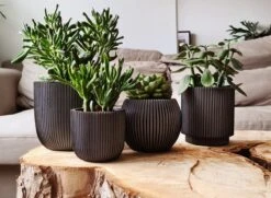 Capi Europe - Set Van 4 - Bloempot Binnen - Groove - Antraciet -Gardena Verkoopwinkel 1200x881 1