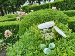 Topbuxus Buxus Health Mix -Gardena Verkoopwinkel 1200x899 14
