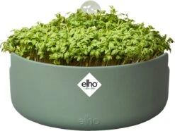 Elho Magic Microgreens 17 - Bloempot Voor Kiemgroenten - Ø 16.8 X H 7.1 Cm - Groen/Blad Groen -Gardena Verkoopwinkel 1200x903 1