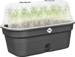 Elho Green Basics Kweektray Allin1 39 - Plantenbak Voor Kweken En Oogsten - Ø 39.0 X H 15.2 Cm - Zwart/Living Black 12 Elho Green Basics Kweektray Allin1 39 - Plantenbak Voor Kweken En Oogsten - Ø 39.0 X H 15.2 Cm - Zwart/Living Black -Gardena Verkoopwinkel 1200x909 1