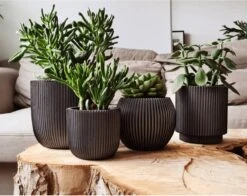 Capi Europe - Set Van 4 - Bloempot Binnen - Groove - Antraciet -Gardena Verkoopwinkel 1200x953