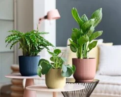 Elho Vibes Fold Rond 22 - Bloempot Voor Binnen - Ø 22.0 X H 20.2 Cm - Diepblauw -Gardena Verkoopwinkel 1200x956 2