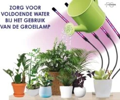Forgoods Kweeklamp LED Full Spectrum - Groeilamp - 40 Watt - Automatische Timer 3-9-12 Uur - Inclusief Adapter 15 Forgoods Kweeklamp LED Full Spectrum - Groeilamp - 40 Watt - Automatische Timer 3-9-12 Uur - Inclusief Adapter -Gardena Verkoopwinkel 1200x998