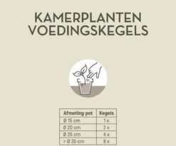 Pokon Kamerplanten Voedingskegels - 10st - Plantenvoeding - 6 Maanden Voeding -Gardena Verkoopwinkel 1200x999