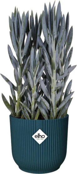 Elho Vibes Fold Rond Wielen 35 - Bloempot Voor Binnen - Ø 34.9 X H 32.4 Cm - Diepblauw -Gardena Verkoopwinkel 531x1200 2