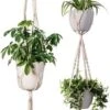 Plantenhanger Macrame Set Van 2 - Plantenhanger Met Ruimte Voor 3 Potten - Luxe Gevlochten Touw 100% Katoen - Duurzaam - Plantenbakken - Bloempotten - Macramé Stijl Hanger Voor Bloempotten - Hangpot - Fienosa 1 Plantenhanger Macrame Set Van 2 - Plantenhanger Met Ruimte Voor 3 Potten - Luxe Gevlochten Touw 100% Katoen - Duurzaam - Plantenbakken - Bloempotten - Macramé Stijl Hanger Voor Bloempotten - Hangpot - Fienosa -Gardena Verkoopwinkel 601x1200 2