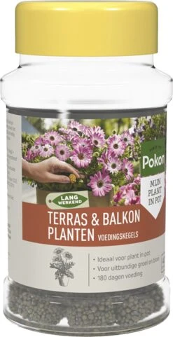 Pokon Voedingskegels Voor Terras- & Balkonplanten - 40 Stuks - 180 Dagen Voeding - Plantenvoeding -Gardena Verkoopwinkel 616x1200 2