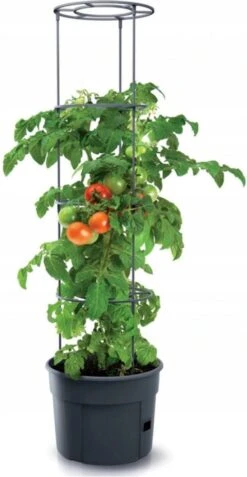 TOMATENPOT VOOR HET KWEKEN VAN TOMATEN PROSPERPLAST 28L -Gardena Verkoopwinkel 621x1200 9