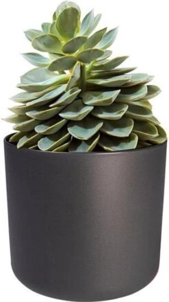 Elho B.for Soft Rond 22 - Bloempot Voor Binnen - Ø 22.3 X H 20.4 Cm - Zwart/Antraciet -Gardena Verkoopwinkel 674x1200