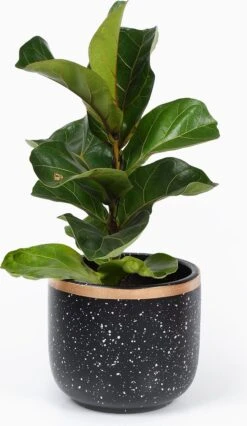 Bloempotten Binnen - Keramiek - Gouden Rand - Bloempot Buiten - Afvoergat 24 - Small Set Van 3 - 15 Cm -Gardena Verkoopwinkel 695x1200